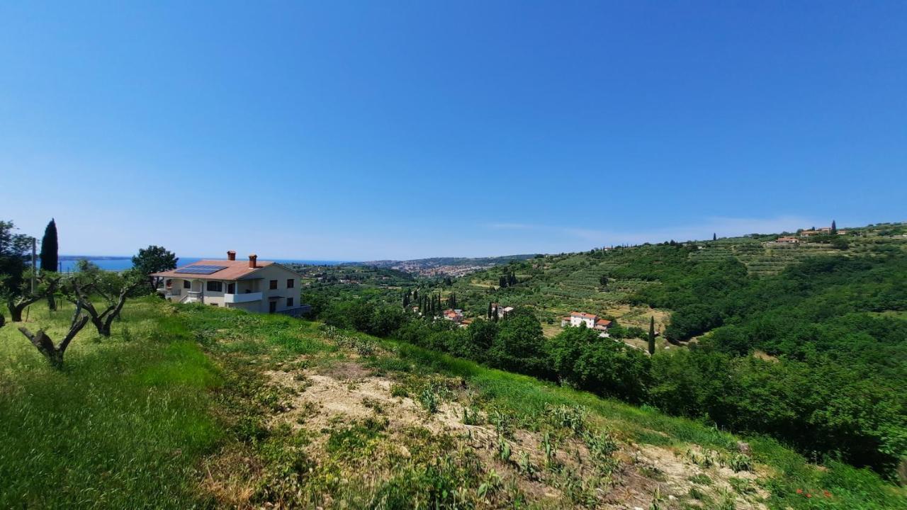 Apartma Bajc Sečovlje Exterior foto